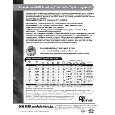 8A31DTM dual terminal battery