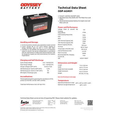 ODP-AGM31 high performance battery