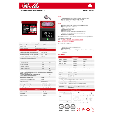 S12-100LFP lifep04 cells